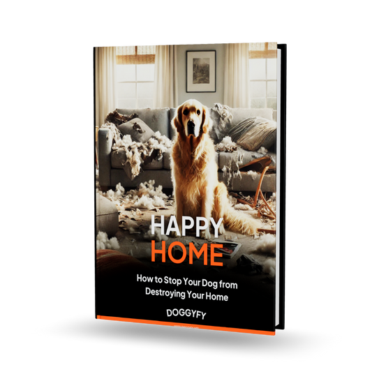 Happy home - How to Stop Your Dog from Destroying Your Home