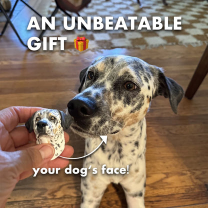 Personalized 3D Pet Face Figurine™ with Built-in Magnet