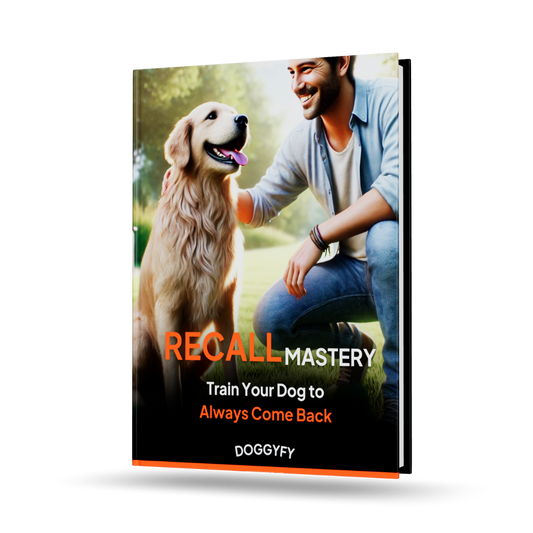 Recall Mastery - Train Your Dog to Always Come Back