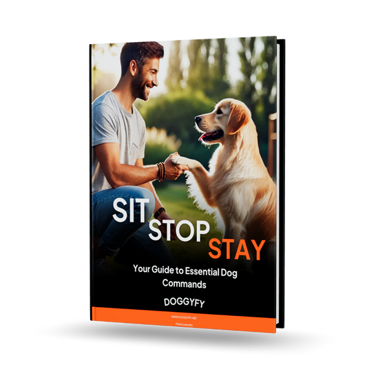 Sit, Stay, Stop - Your Guide to Essential Dog Commands